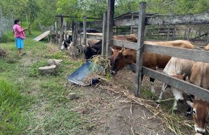 Advierten de un déficit hídrico, baja humedad y lluvias dispersas