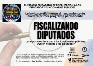 Al fin van a fiscalizar a los diputados