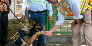 EE. UU. y Guatemala fortalecen combate al narcotráfico con nuevas instalaciones K9 en Puerto Quetzal