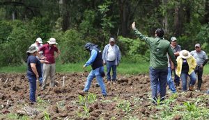 Analizan resiliencia agropecuaria y seguridad alimentaria frente a las variaciones climáticas