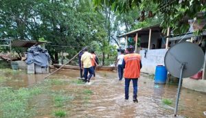 Conred mantiene acciones de respuesta ante inundaciones registradas en Alta Verapaz