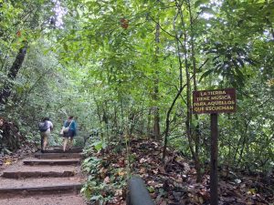 Sendero de Bosque Tropical Las Escobas un pedacito de tesoro Guatemalteco