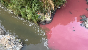 MARN inspecciona drenajes cercanos al río Las Vacas para determinar la causa de su coloración